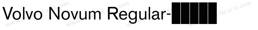 Volvo Novum Regular字体转换